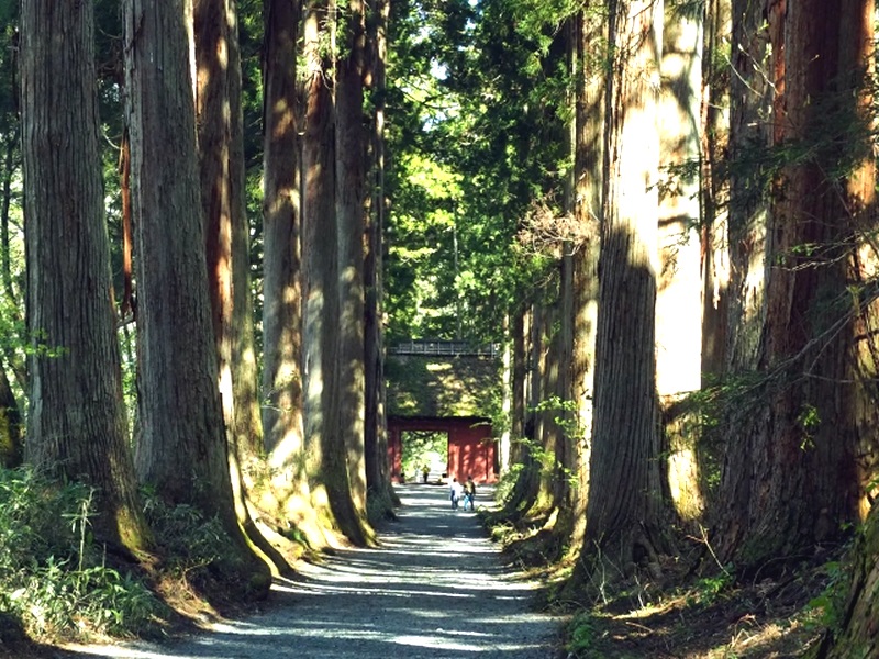 戸隠神社の画像